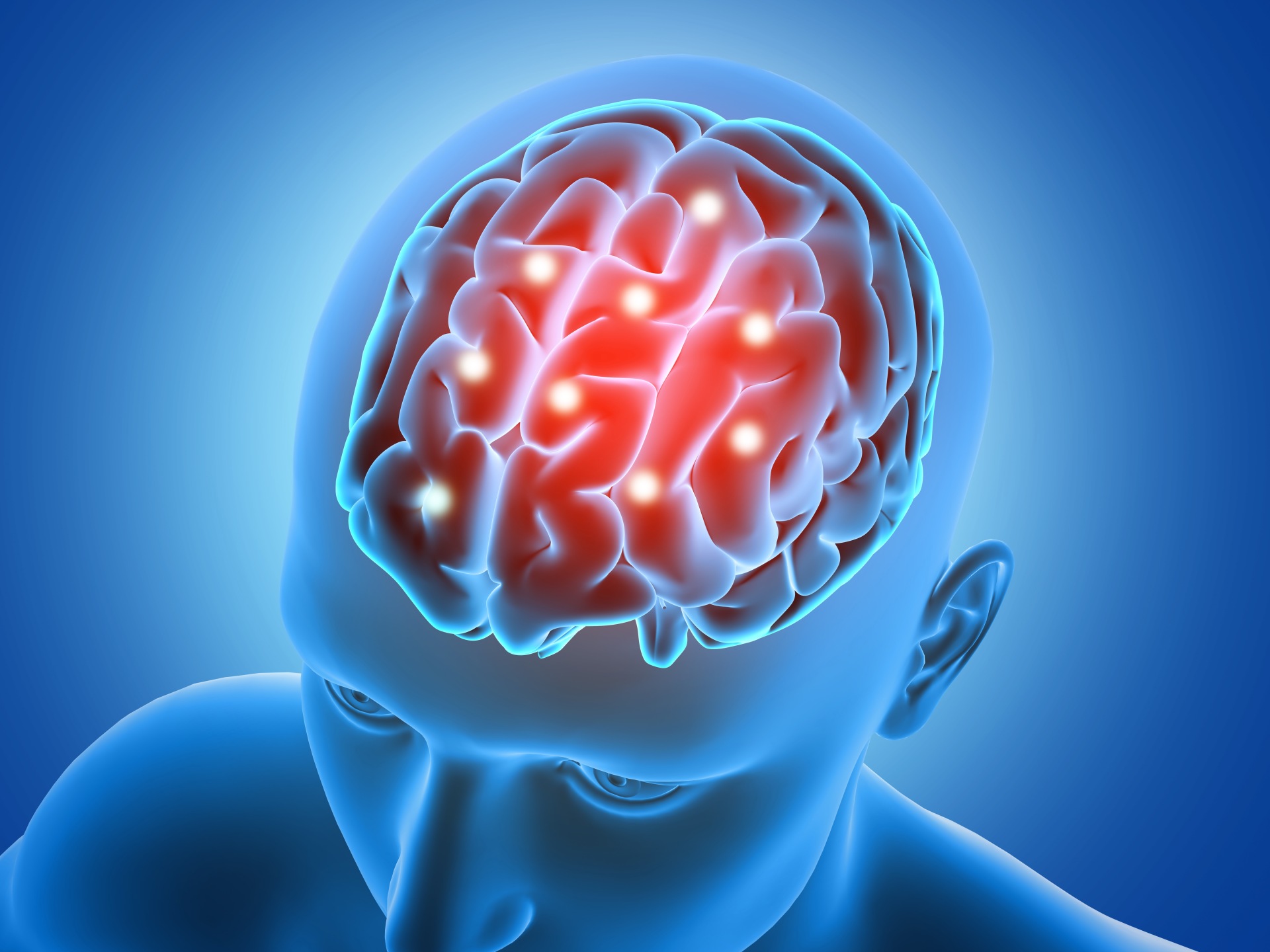 Cerebro humano