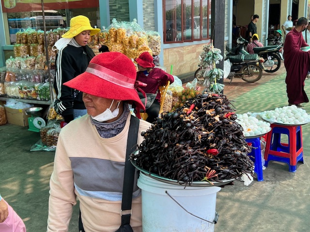 Unique Souteast Asian Food; Women holdin basket of fried bugs