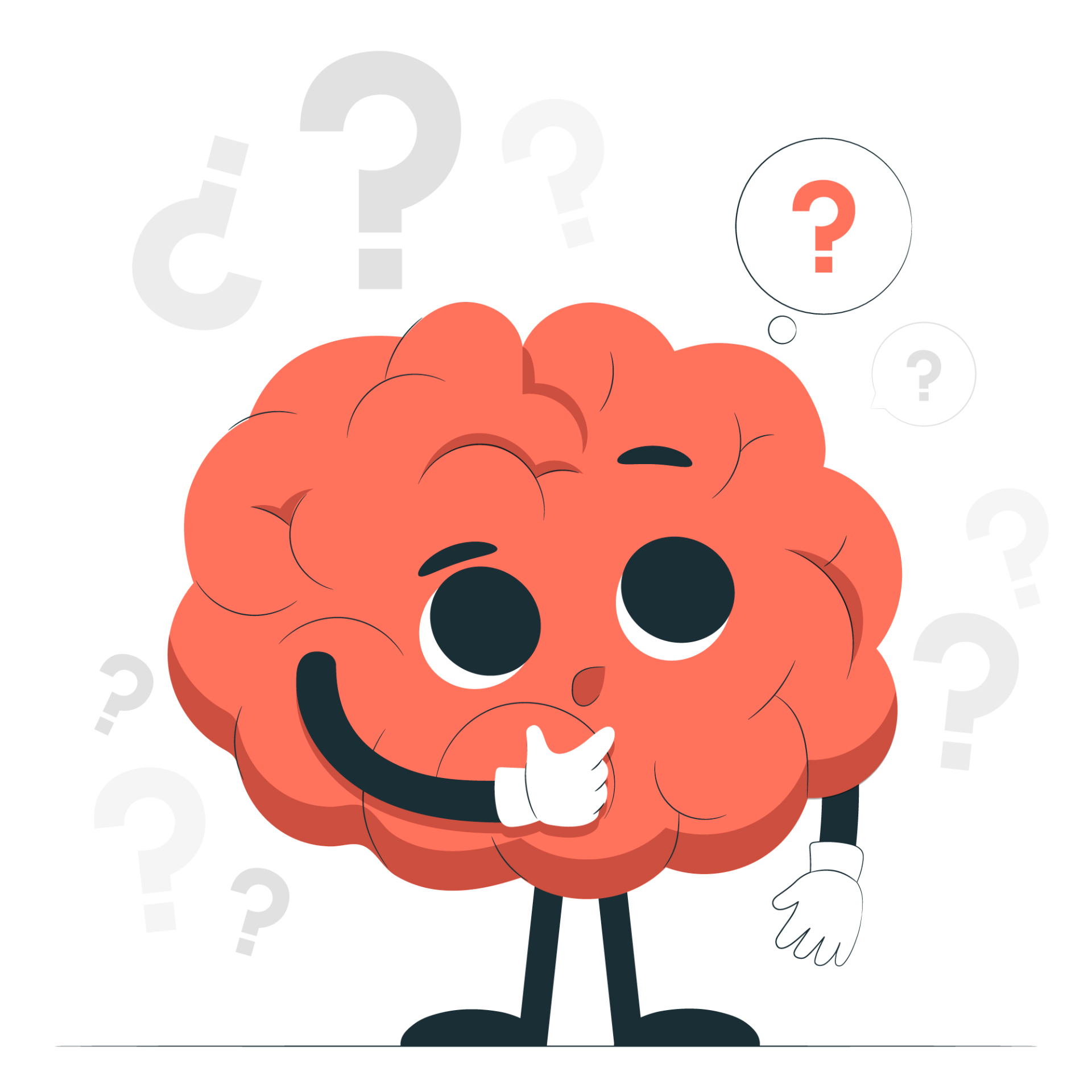 El cerebro se pregunta