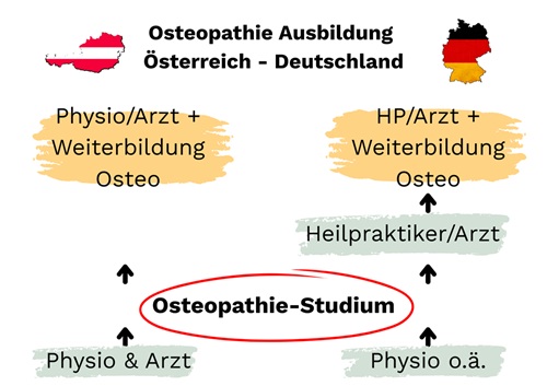 Grafik, Gegenüberstellung Osteopathie Ausbildung Österreich zu Deutschland