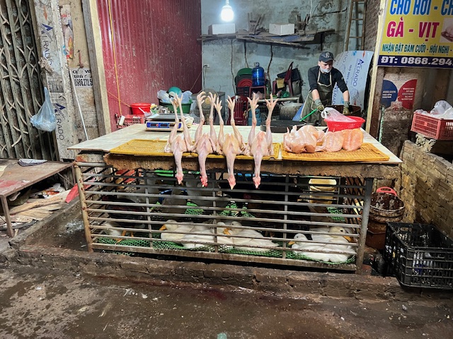 Interesting display of Southeast Asian Food