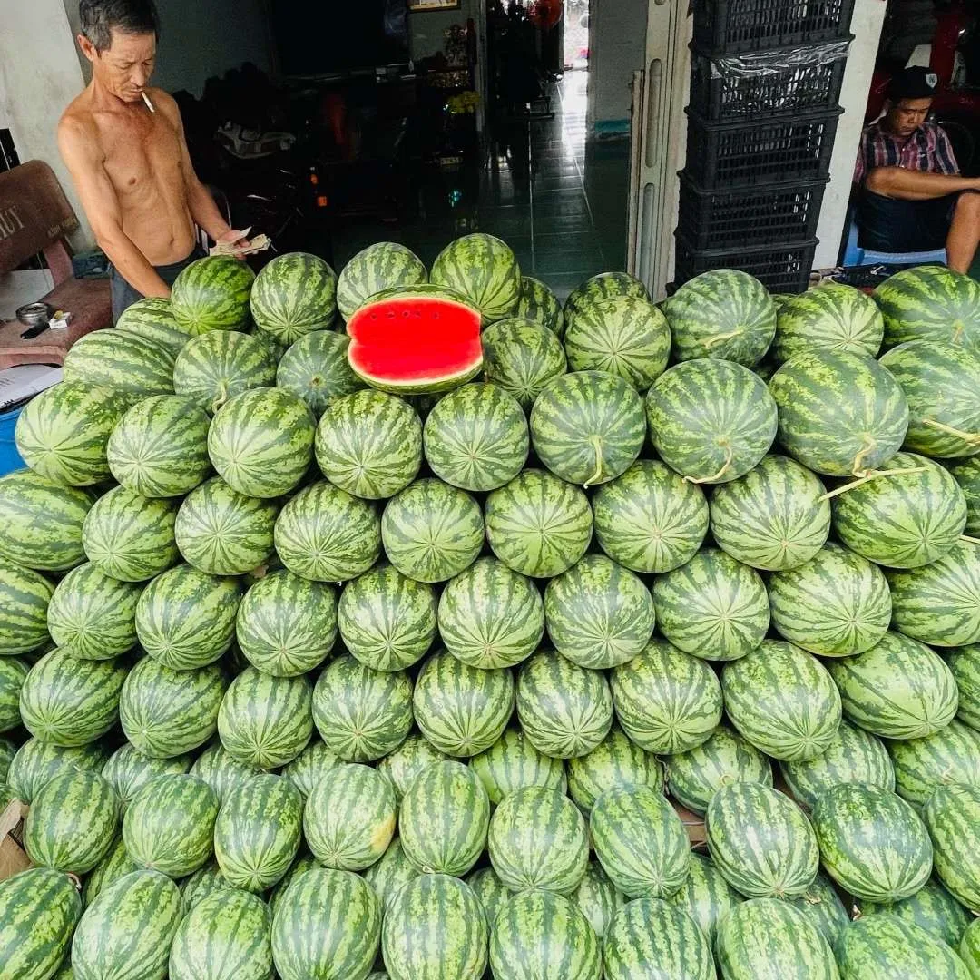 Floating Market Vietnam: Watermelons