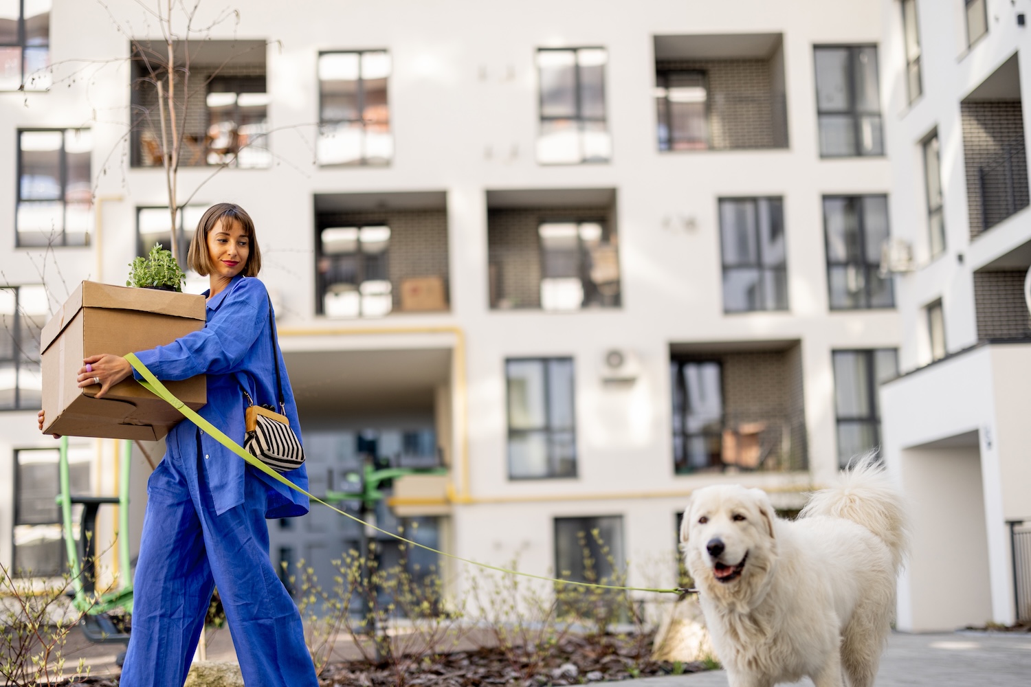 Mujer con paquetes y perro acercándose a una casa de viviendas sostenibles
